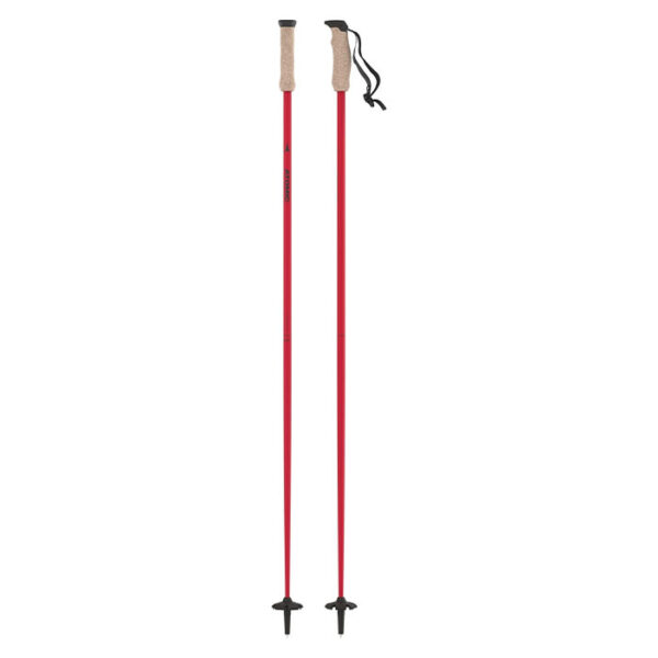 باتون-اسکی-اتمیک-Amt-Carbon-Red